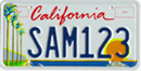 Arts license plate sample
