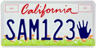 Kids license plate sample