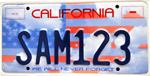 Memorial license plate sample