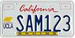 Collegiate license plate sample