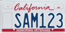 Veterans license plate sample